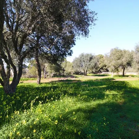 Villa Son Xota De Dalt